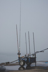 fishing rod on the beach