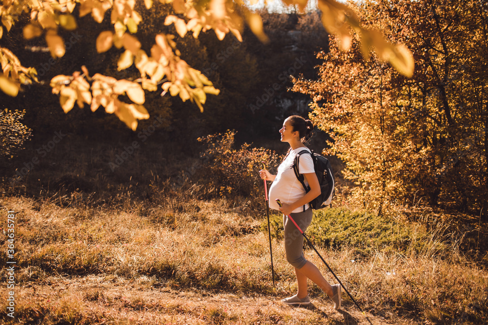 Pregnant woman nordic walking in autumn forest with backpack and trekking sticks. Healthy and active lifestyle in maternity time. Pregnancy exercises for wellness.