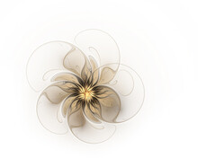 Abstract Fractal Flower On A White Background