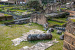 odkopane fragmenty budynków i kolumn na terenie Forum Romanum w Rzymie
