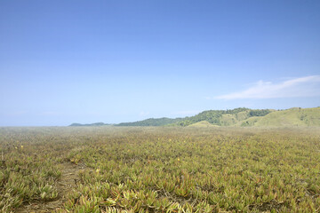 Poster - Meadow field with hills