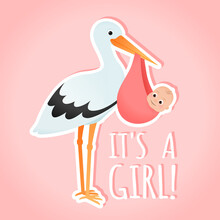 Baby Shower Stork With Baby Girl Invitation Card