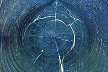 Dark Blue Abstract Horizontal Background Or Wallpaper. Inverted Picture. Cracked Bough On An Old Dried Wooden Board Close-up. Top View From Above. Macro