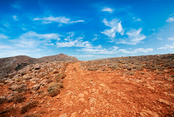Wall Mural - Landscpae of rocky Desert over blue sky