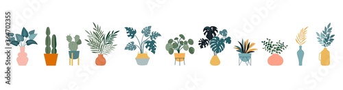 Fotografía Urban jungle, trendy home decor with plants, cacti, tropical leaves in stylish planters and pots