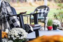Adirondack Rocking Chair With Style Buffalo Check Blanket And Pillows On A Porch Or Patio Decorated For Autumn With Heirloom Gourds & White And Orange Mums. Selective Focus With Garden In Background.