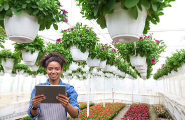 Wall Mural - Gardener and work in greenhouse. Girl with digital tablet in hands, stands on flower plantation and potted plants hanging from ceiling