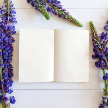 Top View Of An Open Notebook And A Bouquet Of Purple Lupins On A Shabby Wooden White Background. Mock-up, Square Photo, Flat Lay.