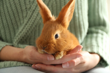 Poster - Young woman with adorable rabbit indoors, closeup. Lovely pet