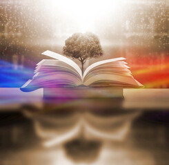 Poster - Bewitched Book With Magic Glows In The Darkness 