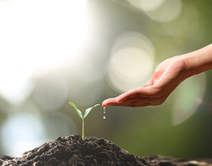 Farmer's hand watering a young plant on green bokeh nature