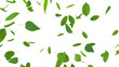 © bluebackimage - Green Flying leaves leaf 3D illustration background