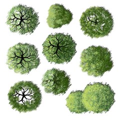 Wall Mural - set of watercolor tree top view for landscape plan and architecture element