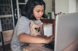 © prachid - Asian Kid using laptop together. Thai Child talk on video call and learn online study at home. Cute Child play with cute dog. Education in new normal concept.