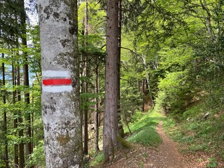 Mountaineering signposts and markings on peaks and slopes of the Pilatus mountain range and in the Emmental Alps, Alpnach - Canton of Obwalden, Switzerland (Kanton Obwalden, Schweiz)