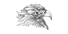 Head Of An Eagle Head