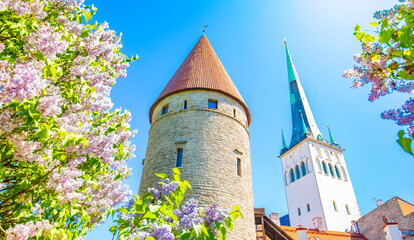 Fototapete - Tallinn old town, Estonia