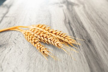 Poster - Wheat.