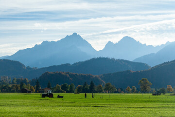 Wall Mural - Beautiful fields and meadows of Bavarian Alps, Germany