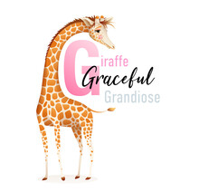 Animal Alphabet For Children, Letter G Is For Giraffe. Cute Graceful Giraffe Representing Letter G, Beautiful 3d Realistic ABC Collection For Kids. Vector Cartoon Illustration.