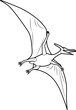 amazing pterodactyl dinosaur flying on the air sky