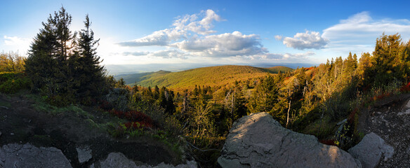 Canvas Print - Slovakia mountain - Vtacnik peak with forest