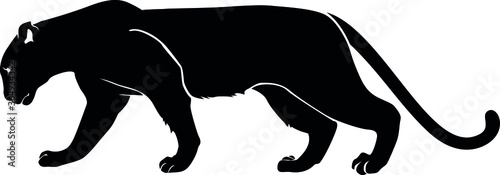 Cuadros en Lienzo Black panther. Silhouette vector isolated image.