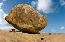 Giant Boulder With Goats Resting Under Summer Sky In Mamallapuram, India.