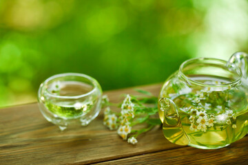 Wall Mural - Herbal tea with achillea salicifolia flowers in a glass teapot and glass thermo cup on a green bokeh background.