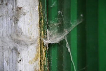 Canvas Print - Cobwebs on wooden door