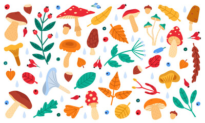 Wall Mural - Fall botanical decor. Autumn doodle forest leaves, flowers, berries and mushrooms, botany fall season collection vector illustration icons set. Autumn forest drawing, branch and mushroom