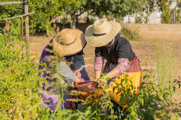 mallorca, boleros, ball de bot, two girls dressed in traditional mallorcan clothing representing how they worked the field in antiquity