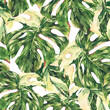 Watercolor Monstera Variegated botanical seamless pattern, tropical summer green leaves