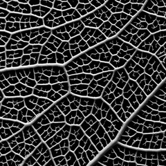 natural texture