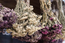 Bunch Of Dried Flowers. Hanging Bouquets Of Dried Medicinal Herbs And Flowers. Herbal Medicine.