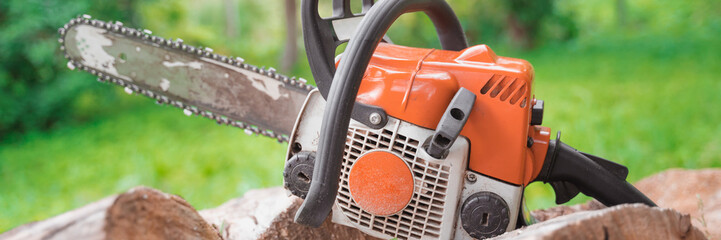 chainsaw lies on sawn logs among the greenery of the forest, selective focus blurred background