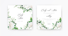 Wedding Invite, Invitation, Save The Date Card Set. Vector Floral Frame Design: Ivory White Peony Rose Flowers, Eucalyptus Branch, Greenery And Forest Fern Leaves Illustration. Elegant Rustic Template