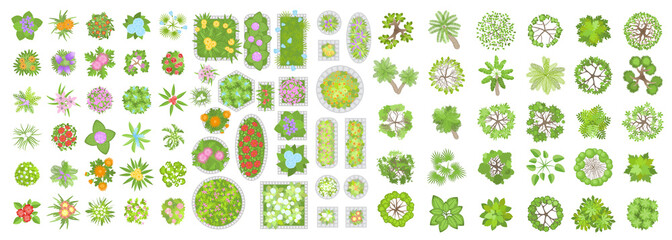 Vector set. Trees, flowers and flower beds. Top view. Different plants and trees vector set for architectural or landscape design. (View from above) Nature green spaces.