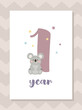 Cute baby month anniversary card with koala, one year, vector illustration