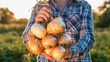 Farmer holds a braid of ripe onion