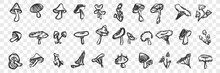 Hand Drawn Mushrooms Doodle Set