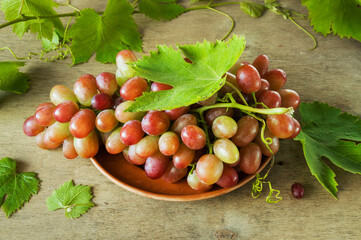 Ripe bunch of grapes with leaves on a ceramic plate. An elite variety of multi-colored grapes. Harvest grapes on a rustic wooden table.