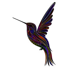 Original Color Vector Hummingbird In Zentangle Style