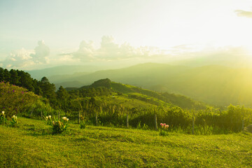 Wall Mural - sunset and mountains interspersed with green grass
