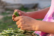 Young Girl Cutting Okra Lady Finger With Knife, Preparing Bhindi For Cook