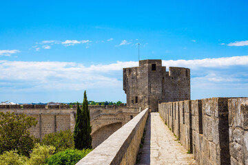 Wall Mural - Walking along walls