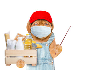 Poster - Delivery dog wearing rede cap, denim overalls and  protective medical mask holds box with grocery and points away on empty space. Food delivery or safe shopping during coronavirus outbreak