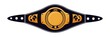 © backup_studio - Mixed martial arts champion belt on white backdrop