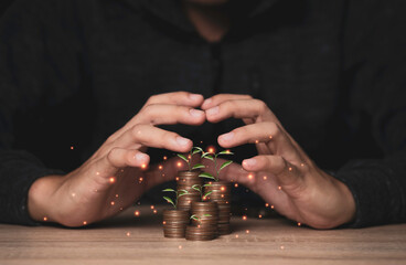 Wall Mural - Hand protecting coins stacking with plant growth on the table. Money saving dividend yield and return profit investment concept.