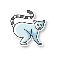 Wall Mural - ring tailed lemur patch. adorable exotic animal, tropical rainforest wildlife. native madagascar inh